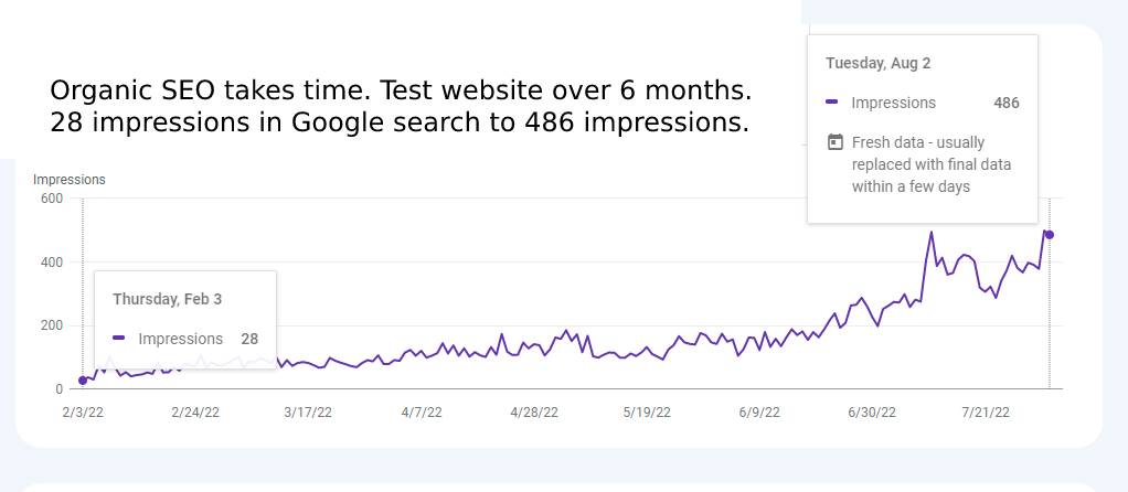 SEO over 6 months google Console results chart