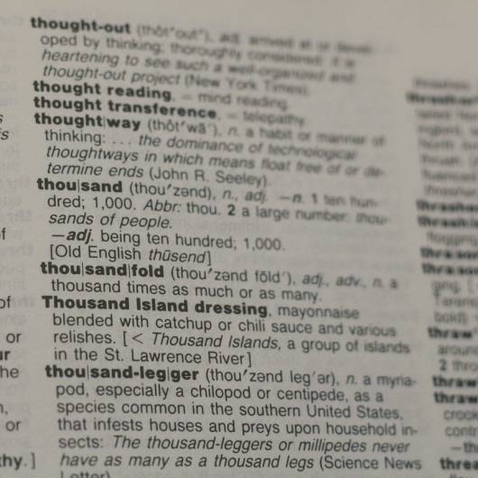 words in a dictionary on a page