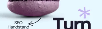 a purple macaron as symbol for seo on its head